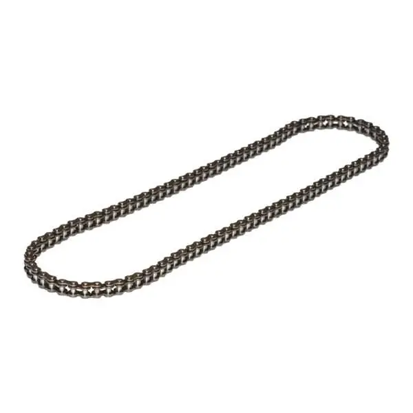 100 Link #25 Chain 1