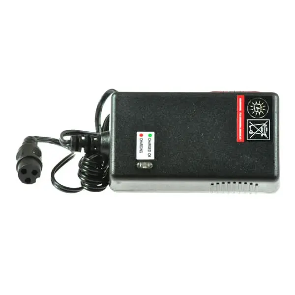 24 Volt 0.6 Amp Ql-09009-B2400600h Battery Charger For The Ezip Nano And Nano Carver 1