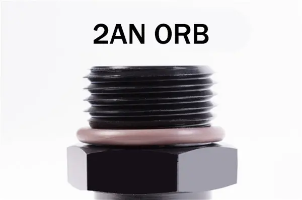 2An Orb To 8Mm Sae Male 1