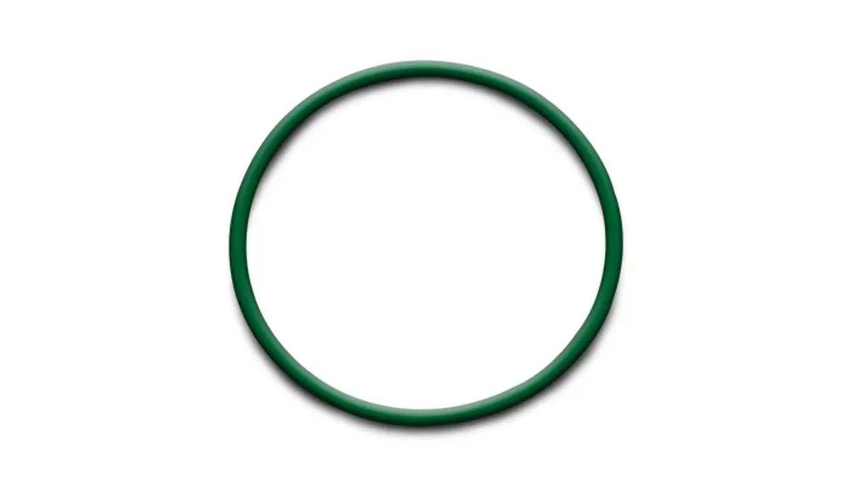 Vibrant Performance Replacement O-Rings For Weld Ferrules 1