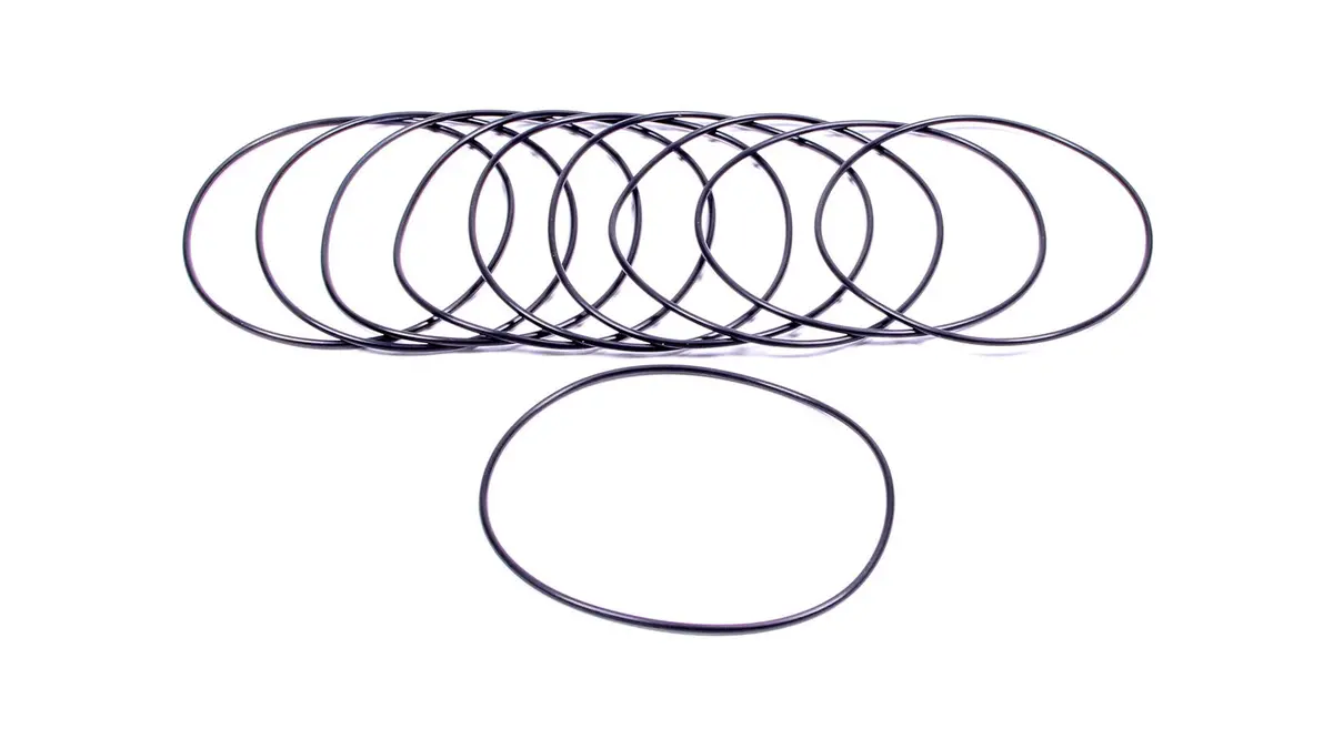 Filter O-Rings (10) 1