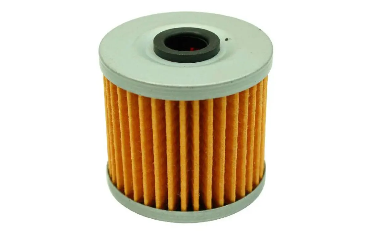 Aem High Volume Fuel Filter Replacement Element For 25-200Bk 1