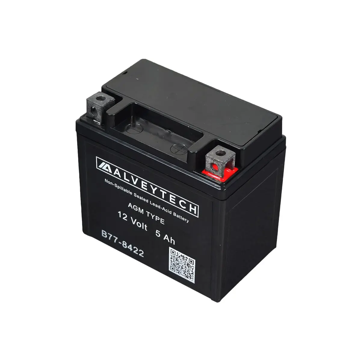 12 Volt Ytx5l Agm Battery For Coleman At125-B, At125-Ex, At125-Ut, & Taotao Raptor 200 Atvs 2