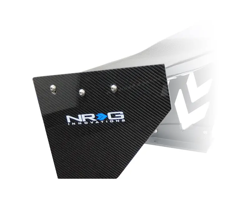 Carbon Fiber Large End Plates 1
