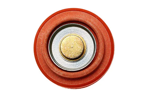 Diaphragm Service Replacement Fpd 1