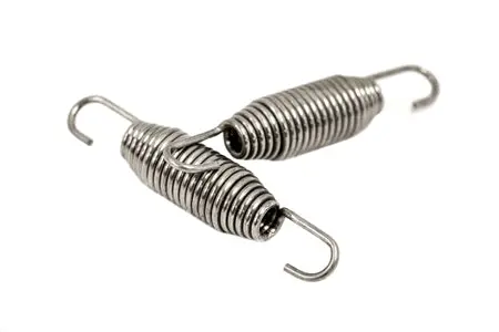 Plm Exhaust Spring - Set Of 2 1