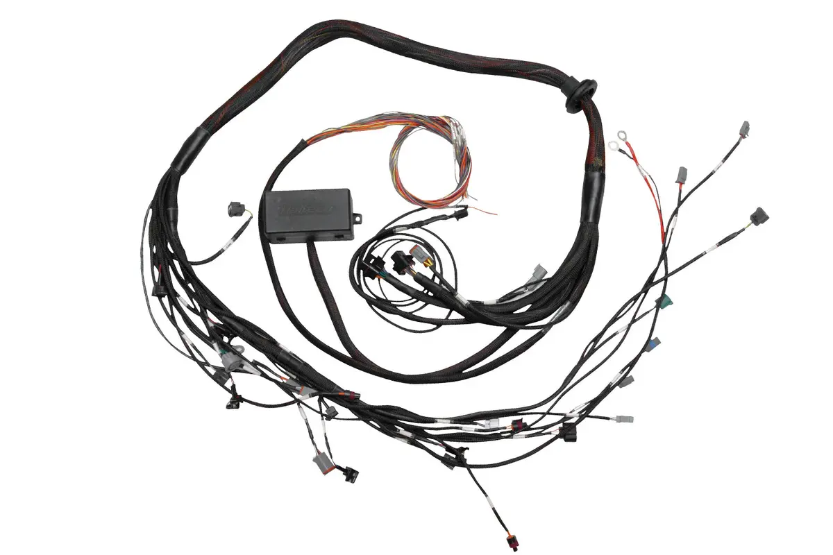 Haltech Elite 2000/2500 Toyota 2Jz Terminated Engine Harness 1