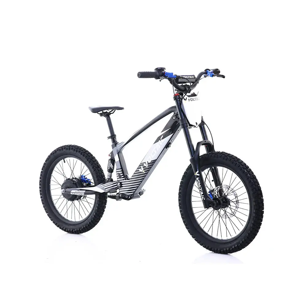 Voltaic 20" Flying Fox 36V 1