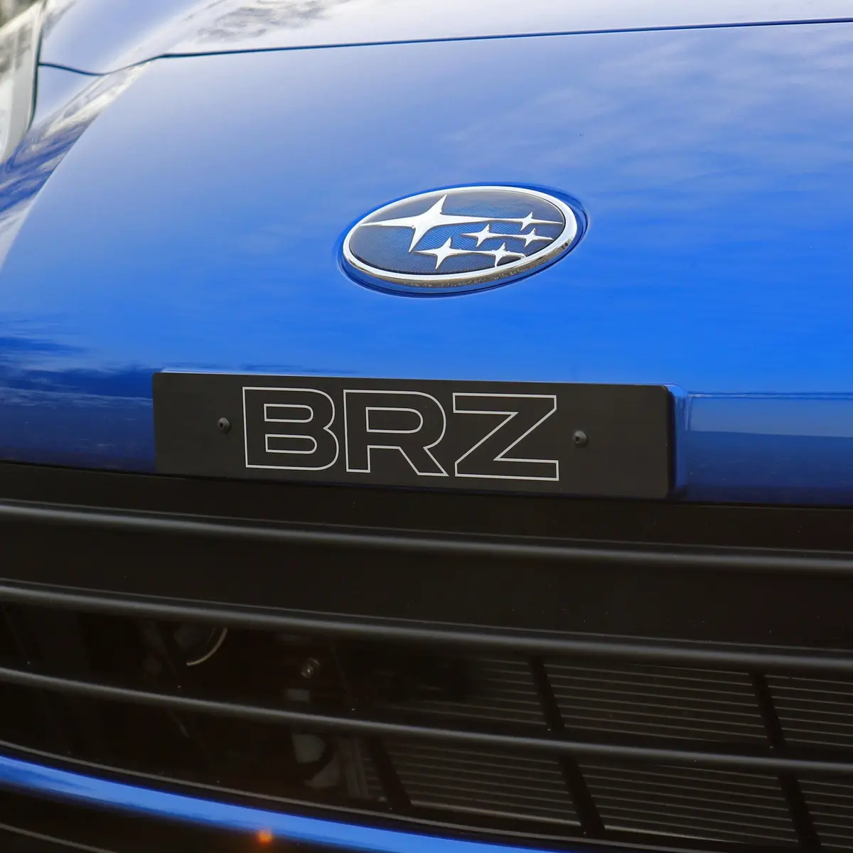"Brz" Plate Delete 1