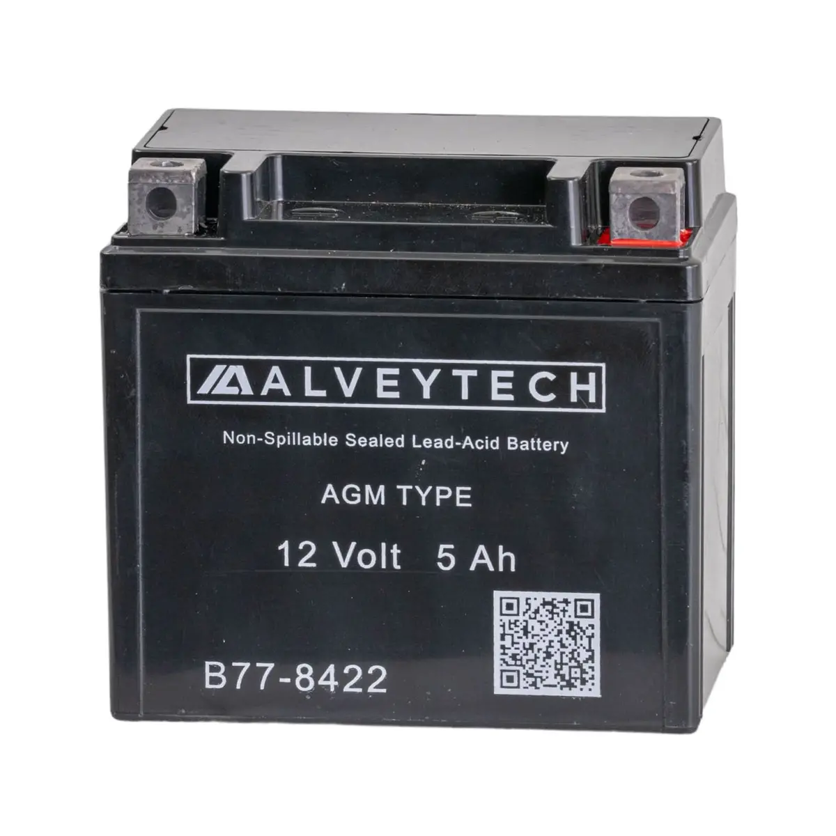 12 Volt Ytx5l Agm Battery For Coleman At125-B, At125-Ex, At125-Ut, & Taotao Raptor 200 Atvs 1