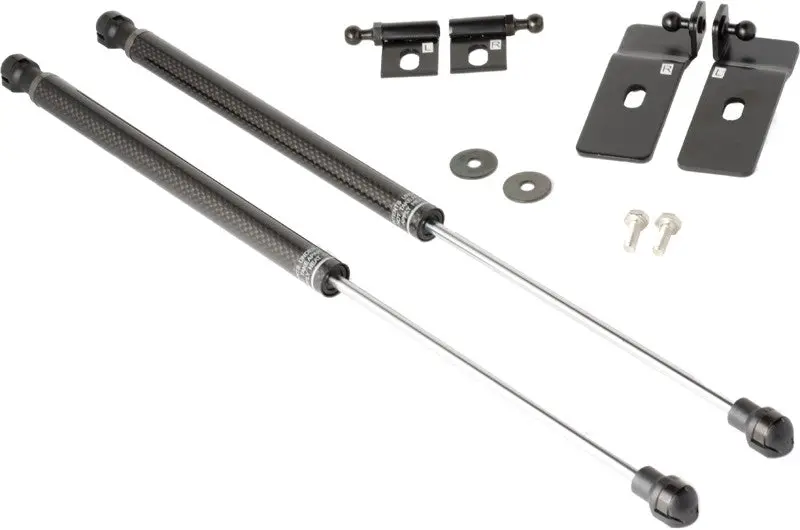 Tr Carbon Fiber Hood Dampers 1