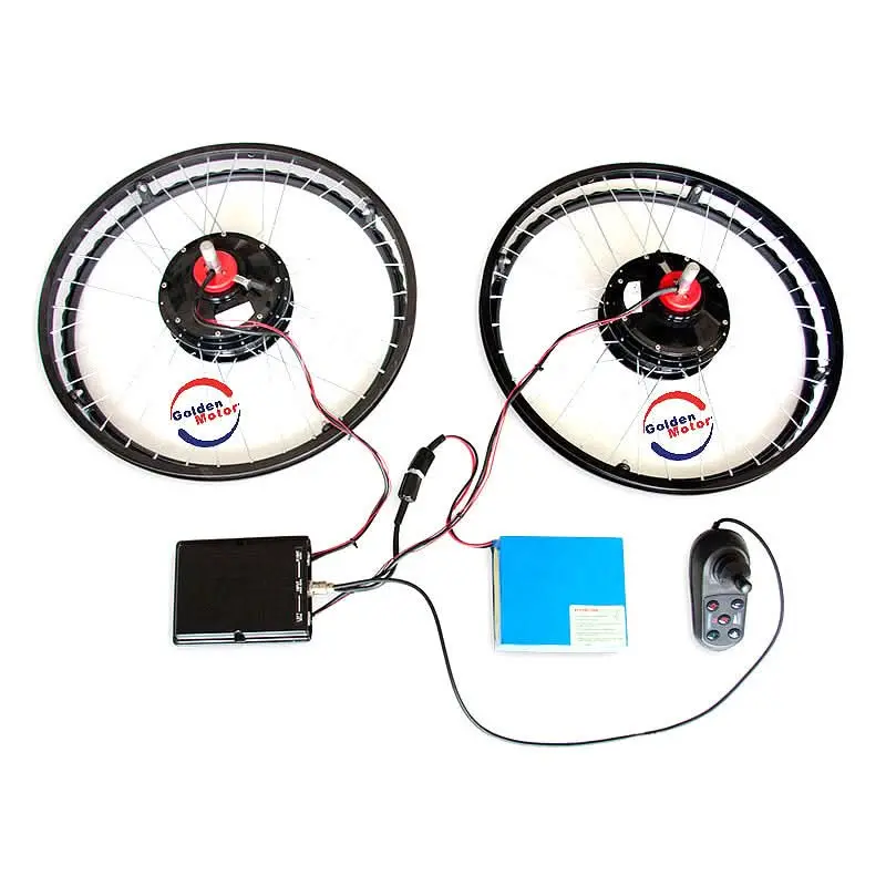 Electric Wheelchair Conversion Kit 1