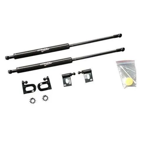 Greddy Hood Dampers Mitsubishi Evolution X 2008-2015 1
