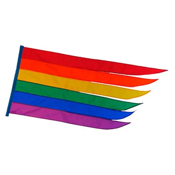 43" X 21" Rainbow Banner For Bikes & Scooters 1