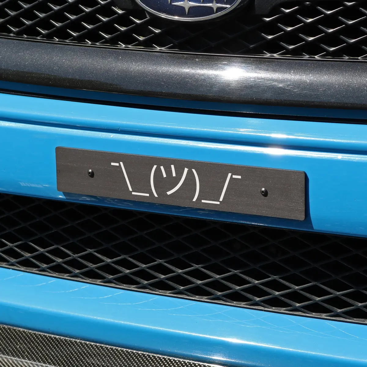 "Shrug Guy" Plate Delete 4