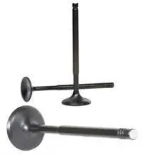 Supertech Black Nitride Exhaust Valves 1