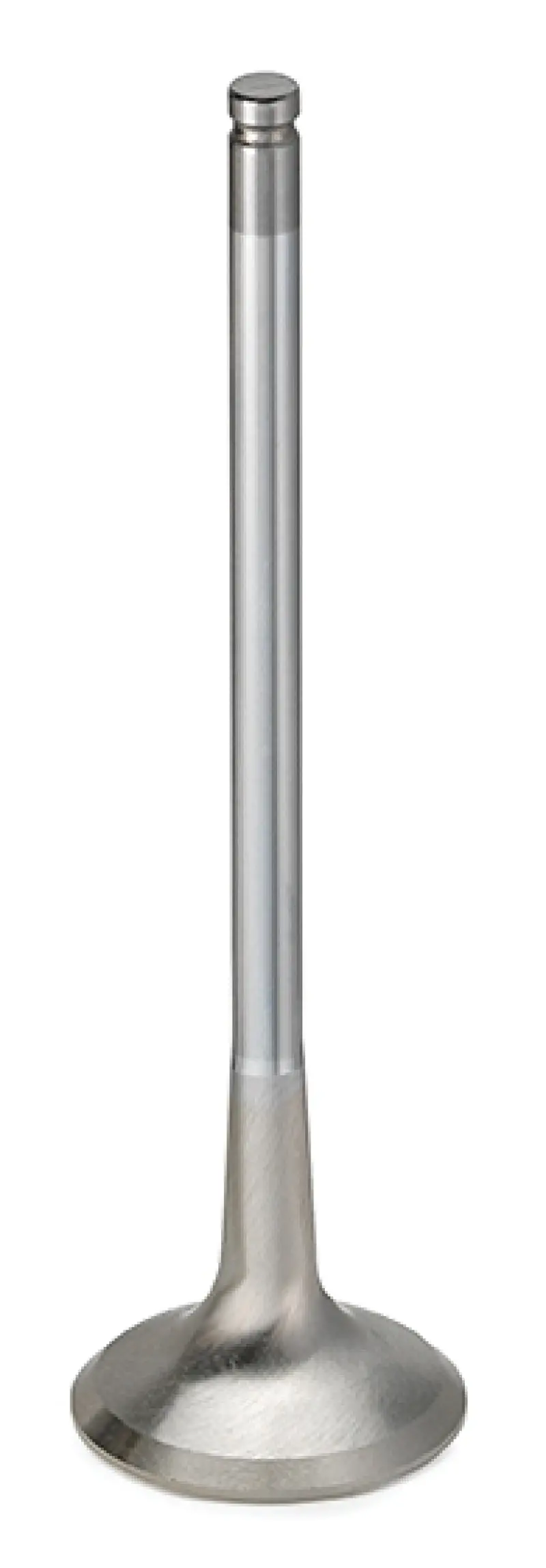 Supertech Mini Cooper W11B16A 1.6L Supercharged Inconel Exhaust Valve- +1Mm Os - Single (D/S Only) 1